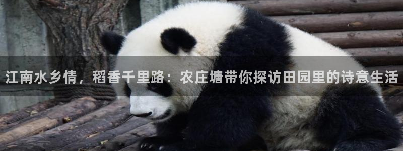 必一体育网页登陆