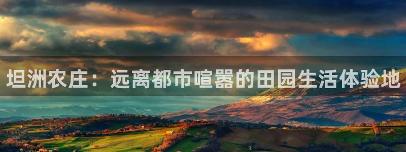 必一体育官网网站