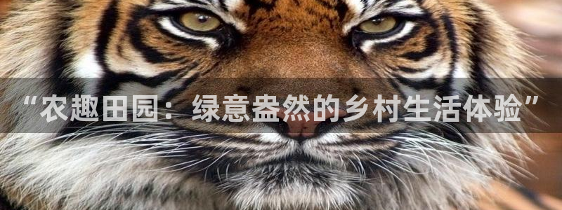 必一体育运动官网