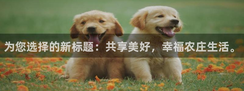 必一体育app下载最新版本