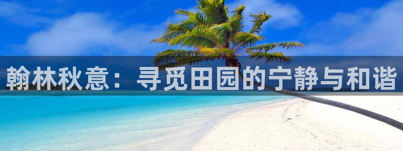 必一体育秀给网