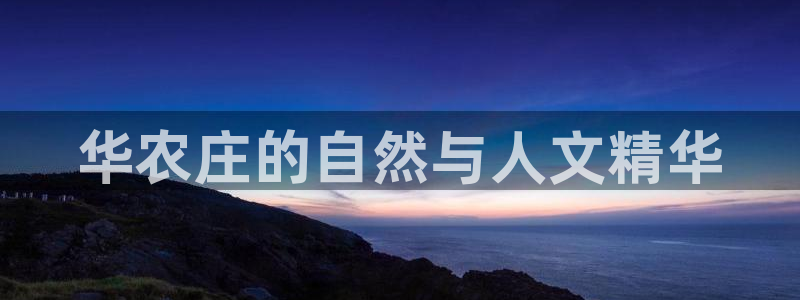 必一体育官方网站入口