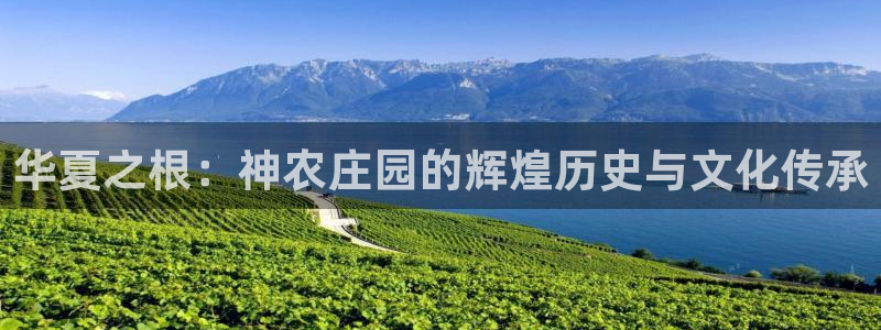 必一体育app下载最新版本苹果