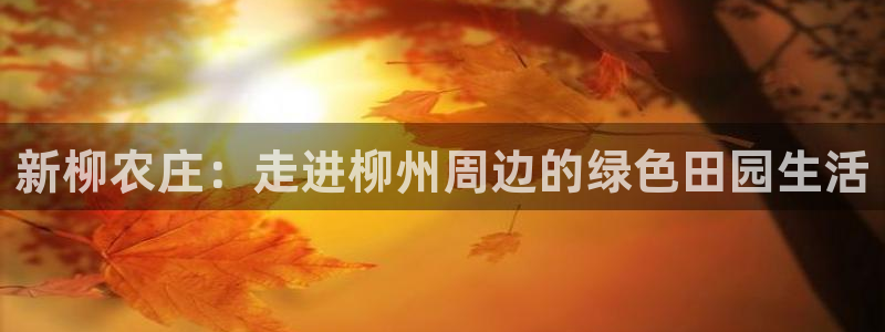 必一运动·(B-Sports)土豆