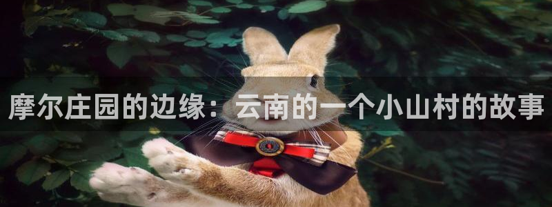 必一体育游戏特色