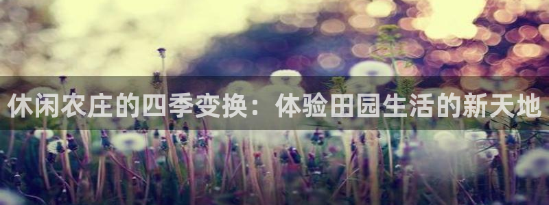 必一体育官方下载