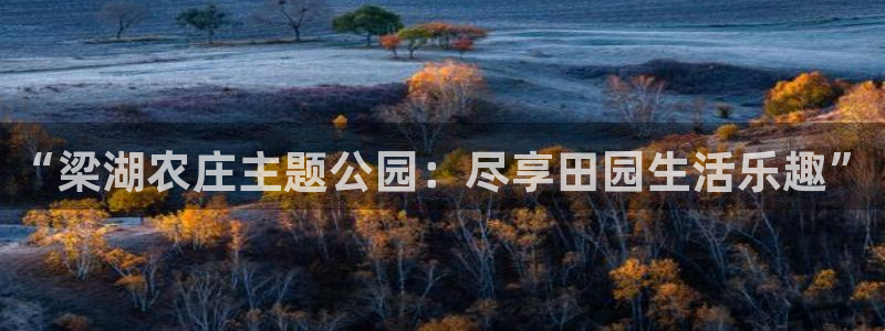 必一体育官网网址