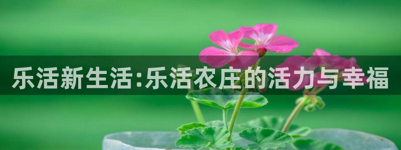 必一体育APP