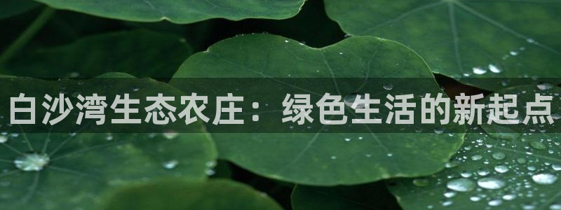 必一体育在线登录