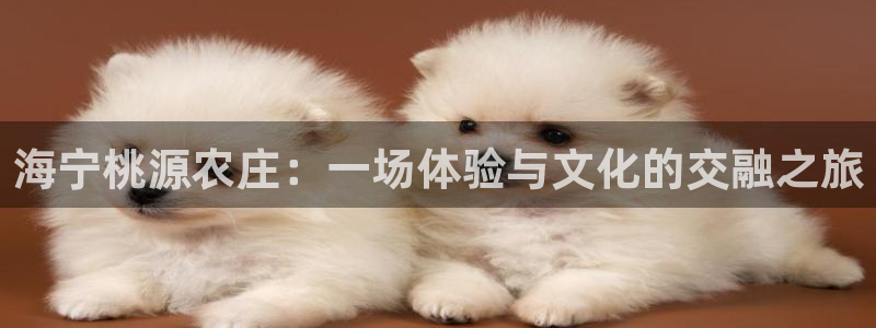必一体育运动官网