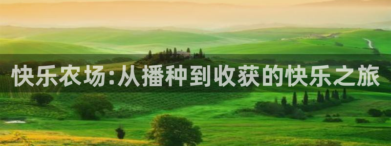 必一体育sport官网