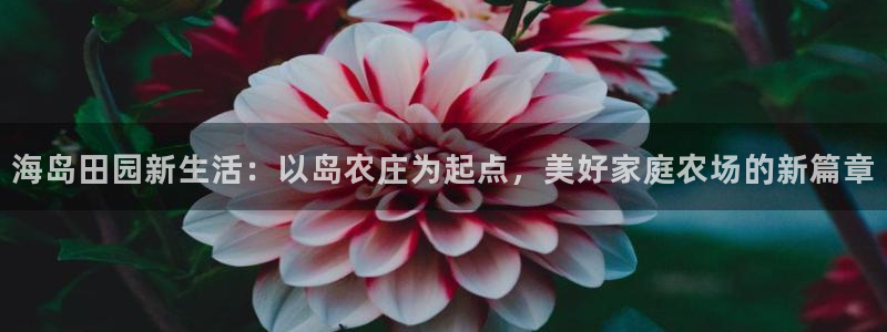 必十二和必一的副作用