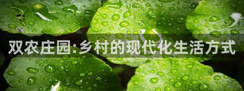 必一体育运动下载