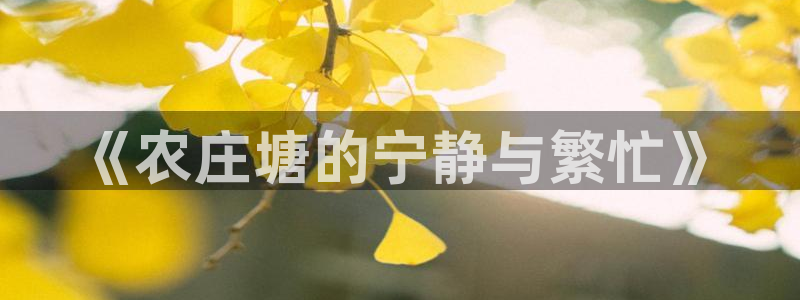 必一体育是哪里的台子