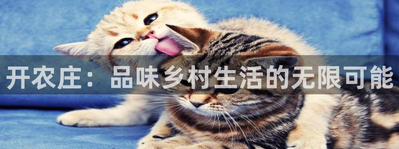 必一体育电子app