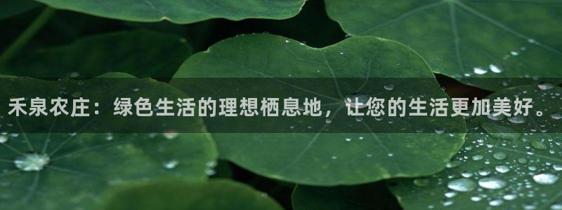 必一体育官网网址