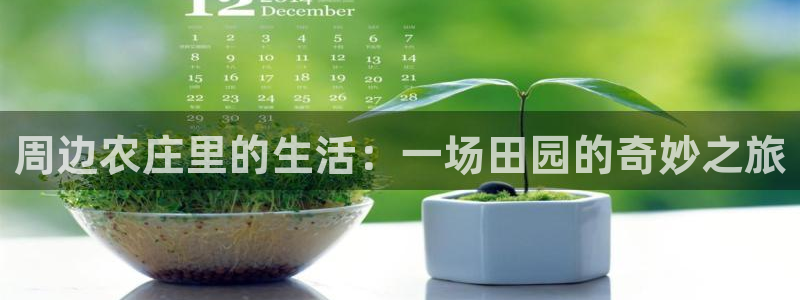 必一体育网站