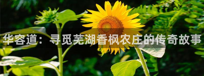 必一体育app下载装机吧