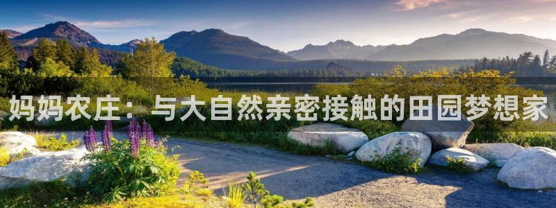 必一体育